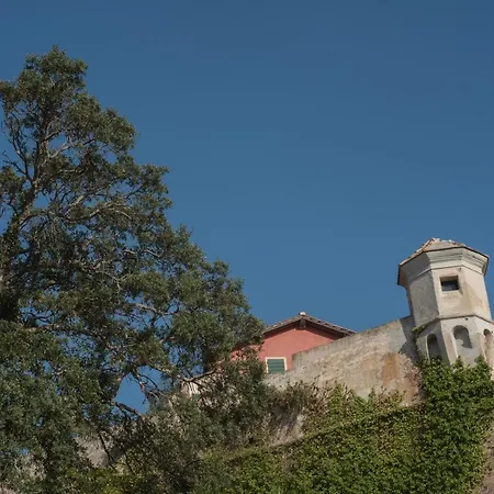 펜션 Nel Centro Storico Di 포르토페라이오